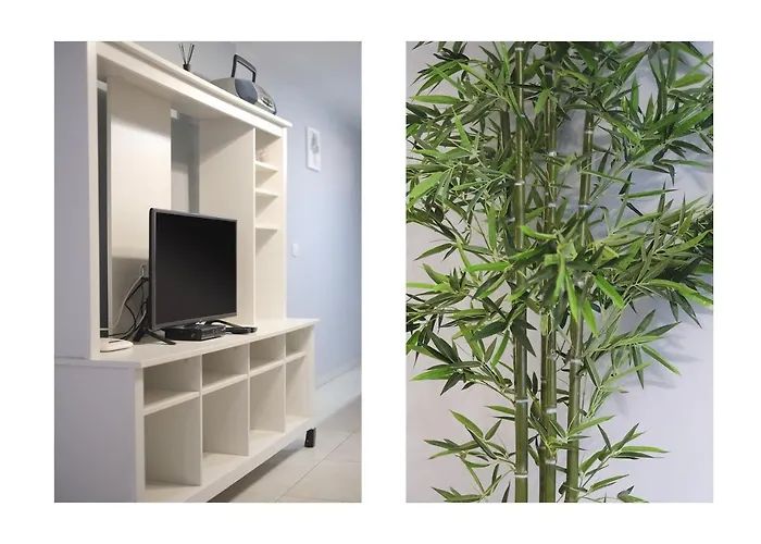 Etna-near Playa Flamingo 아파트