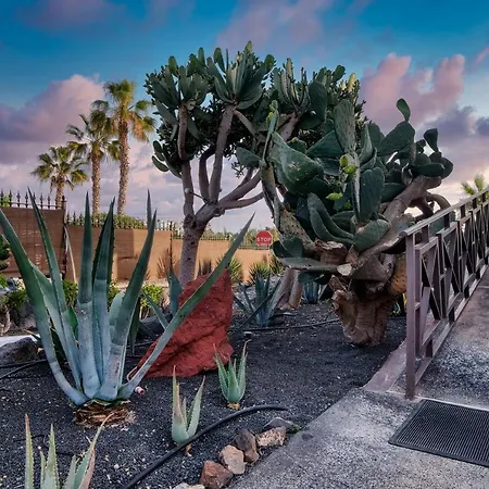 公寓 Etna-near Playa Flamingo *